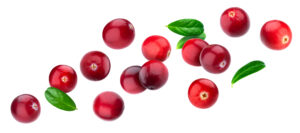 Cranberry's worden bij een blaasontsteking bij honden en katten gebruikt