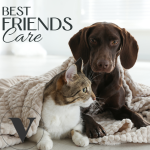 Stress Care </br>Rustgevend middel hond | 30 kauwtabletten - Afbeelding 5