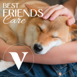 Probiotics </br>probiotica hond & kat | 30 kauwtabletten - Afbeelding 5