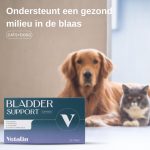 Bladder Support </br>blaas & nieren | 30 kauwtabletten - Afbeelding 3
