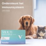 Multivitamins</br> multivitamine met L-Lysine | 30 kauwtabletten - Afbeelding 3