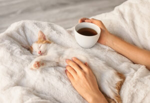 Ontspannen met een kop thee komt door L-Theanine. Op honden en katten heeft dit een kalmerend effect.